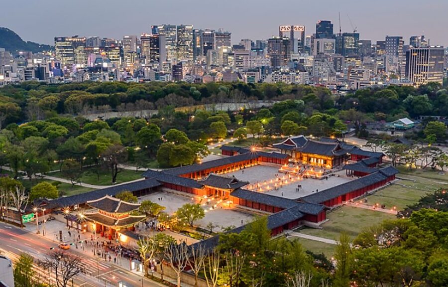 Seoul: Nighttime Tour of Palace, Market, Naksan Park & More - Guides, photos, and the small moments that make or break it