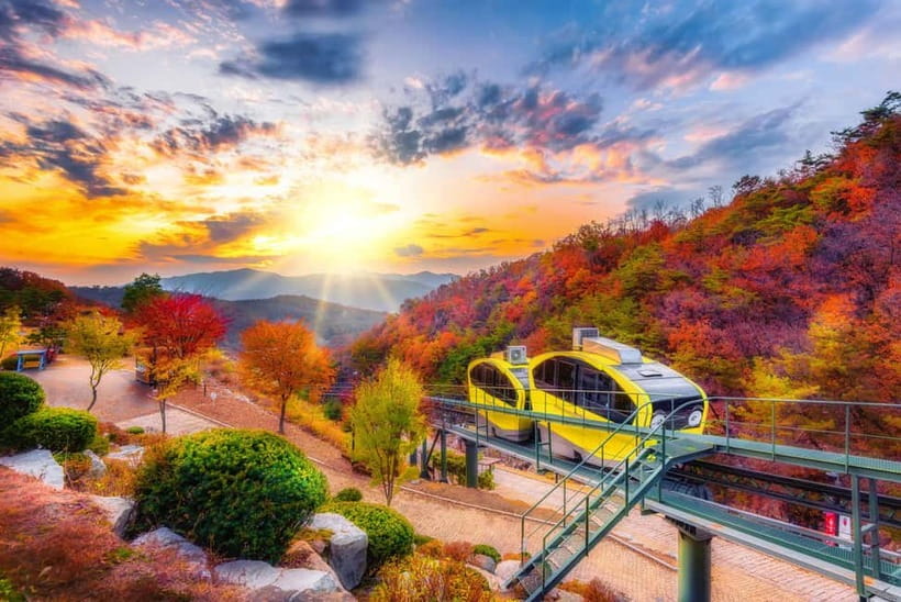 Seoul: Pocheon Art Valley and Fruit Picking Day Tour - From Seoul to Pocheon: pick-up points, ride time, and a sensible pace