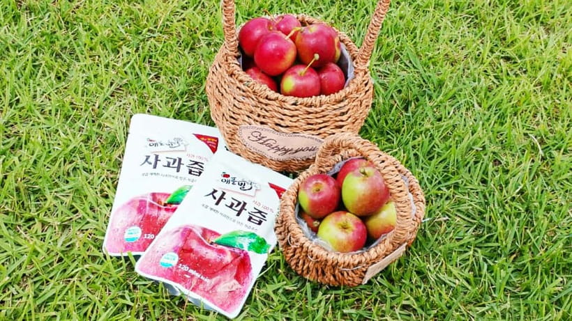 Seoul: Pocheon Art Valley and Fruit Picking Day Tour - Fruit picking in Pocheon: strawberries in spring and apple activities in summer to fall