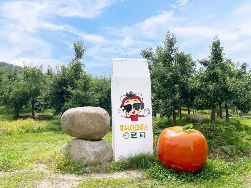 Seoul: Pocheon Art Valley and Fruit Picking Day Tour - Guide quality and group size: what makes the day feel easy