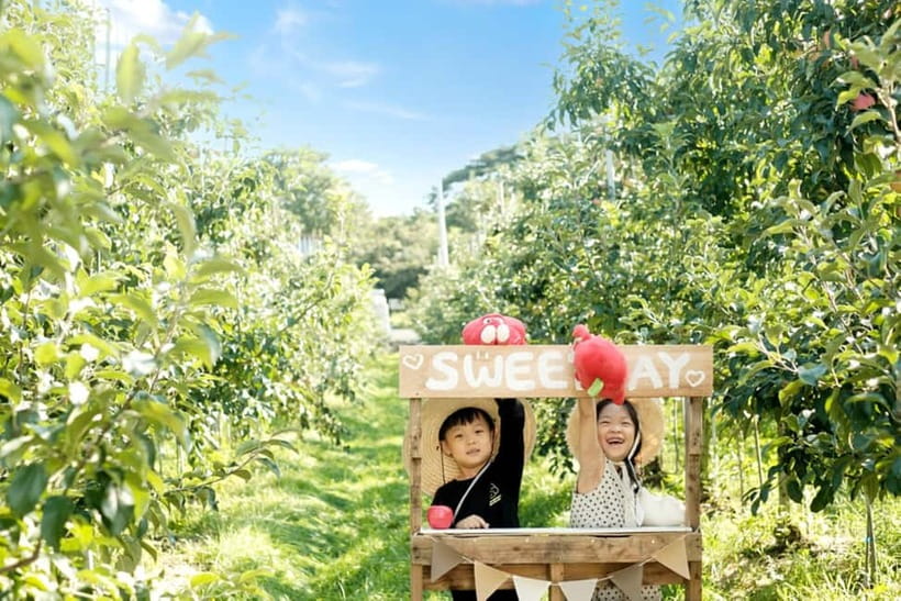 Seoul: Pocheon Art Valley and Fruit Picking Day Tour - Who should book this Pocheon day trip?