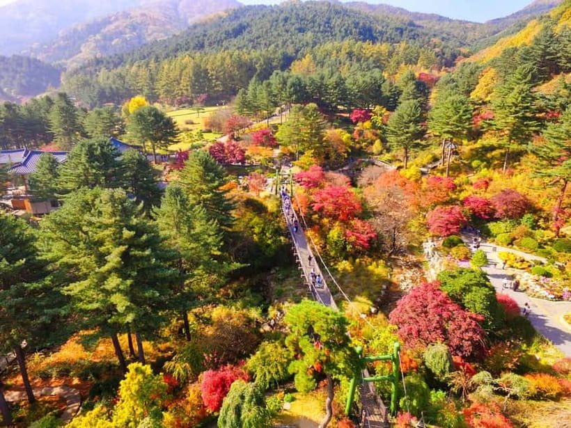 Seoul: Pocheon Art Valley, Garden and Fruit Picking Day Tour - Price and Value: Is $77 Worth It?