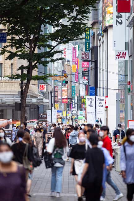 Seoul: Private chartered vehicle Staria van City Tour - Who this Seoul Staria van tour suits best