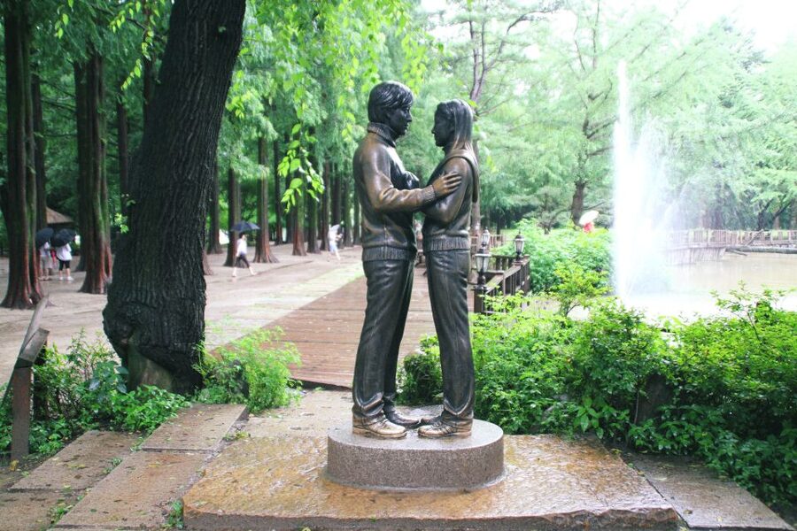 Seoul: Private Customizable Tour to Nami Island and More - Key highlights that make this tour worth your attention