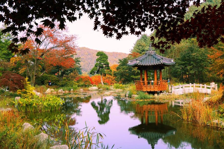 Seoul: Private Customizable Tour to Nami Island and More - The practical schedule reality: plan for variation and keep your day light