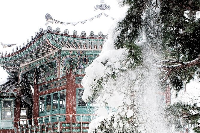 Seoul Private RV tour, explore real Korea from Past to Future - RV comfort, WiFi, and the small things that save real vacation time