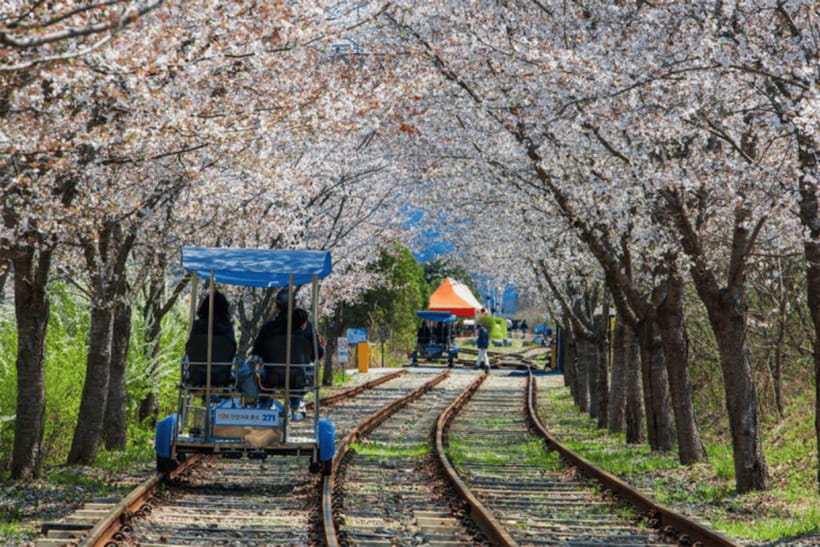 Seoul: Samaksan Cable Car & Nami with Alpaca World/Railbike - Lunch in Korea is not included, and it can be the toughest part of the day