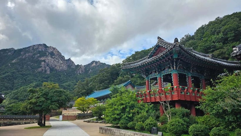 Seoul: Seorak Mountain, East DMZ, and Sokcho Tour - Accessibility and practical needs