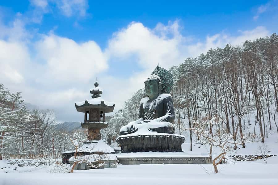 Seoul: Seorak Mountain+Nami Island+Eobi Ice Valley Tour - Key highlights to look for