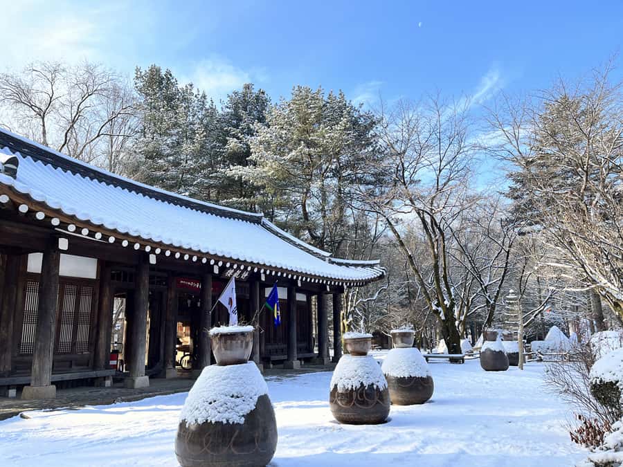 Seoul: Seorak Mountain+Nami Island+Eobi Ice Valley Tour - Eobi Ice Valley frozen waterfall: what you’ll see, and the backup plan