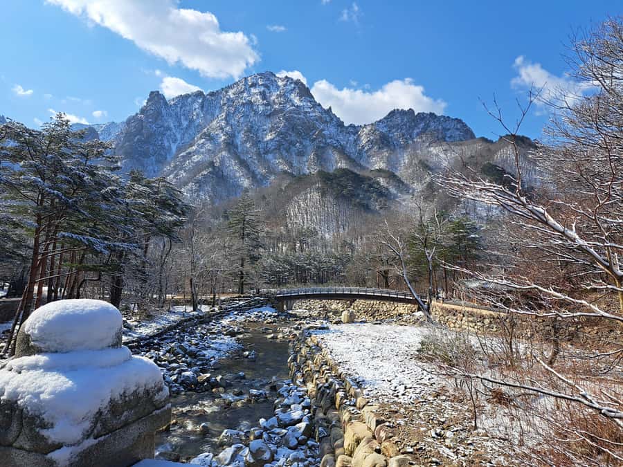 Seoul: Seorak Mountain+Nami Island+Eobi Ice Valley Tour - Who this winter tour suits best, and who should skip it