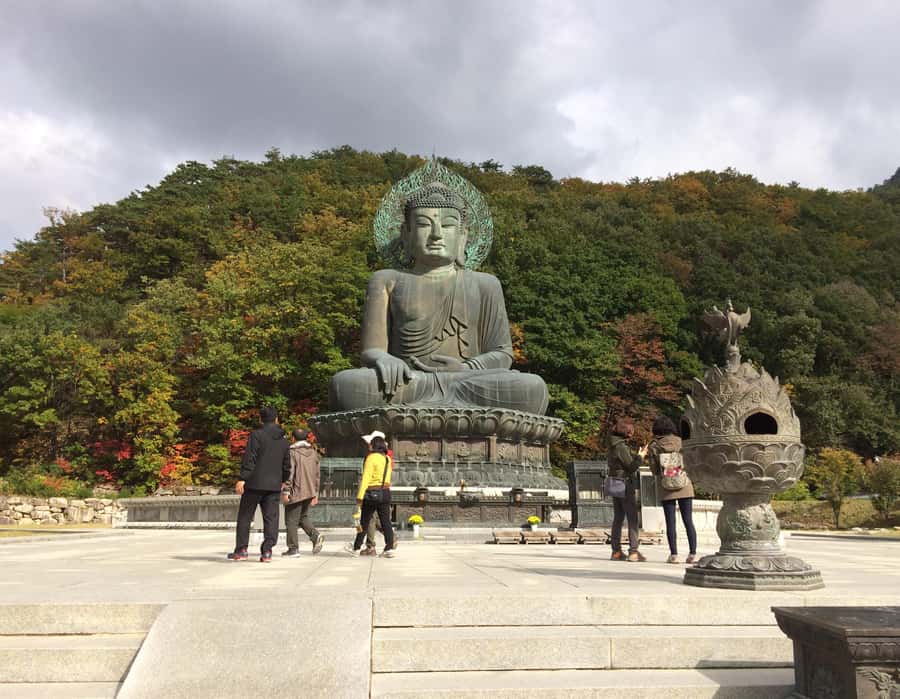 Seoul: Seorak Mountain+Nami Island+Eobi Ice Valley Tour - Should you book this Seoraksan, Nami Island, and Eobi Ice Valley tour?