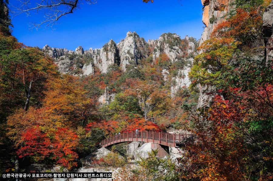 Seoul: Seorak Mountain+Nami Island+Eobi Ice Valley Tour - FAQ