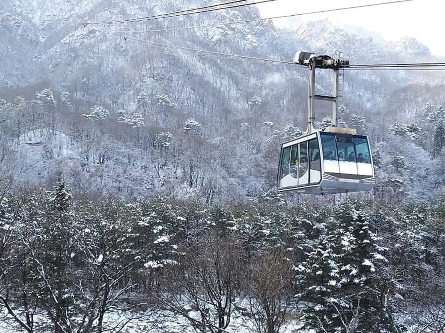 Seoul: Seorak Mountain+Nami Island+Eobi Ice Valley Tour - Seoraksan winter views, Tongil Daebul, and the Sinheungsa temple stop