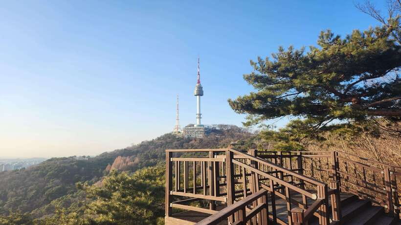 Seoul: Services of a Local for a Day (Paperwork/Tour/Fun) - Why Hiring a Local for One Day Feels Smarter Than a Usual Tour