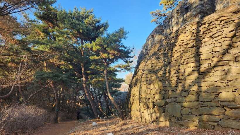 Seoul: Services of a Local for a Day (Paperwork/Tour/Fun) - A Day Built Around Your Goals, Not a Generic Checklist