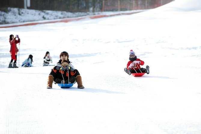 Seoul Ski Tour at Jisan Forest Resort - Transport, Mobile Ticket, and How the Guide Fits Into Your Day