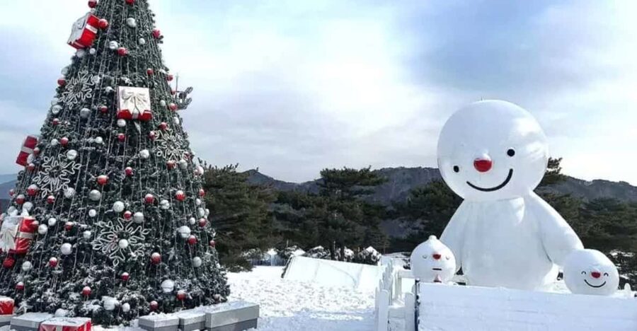 Seoul: SnowyLand in Vivaldi Park with Nami or Alpaca - Your lunch and the timing reality at Vivaldi Park