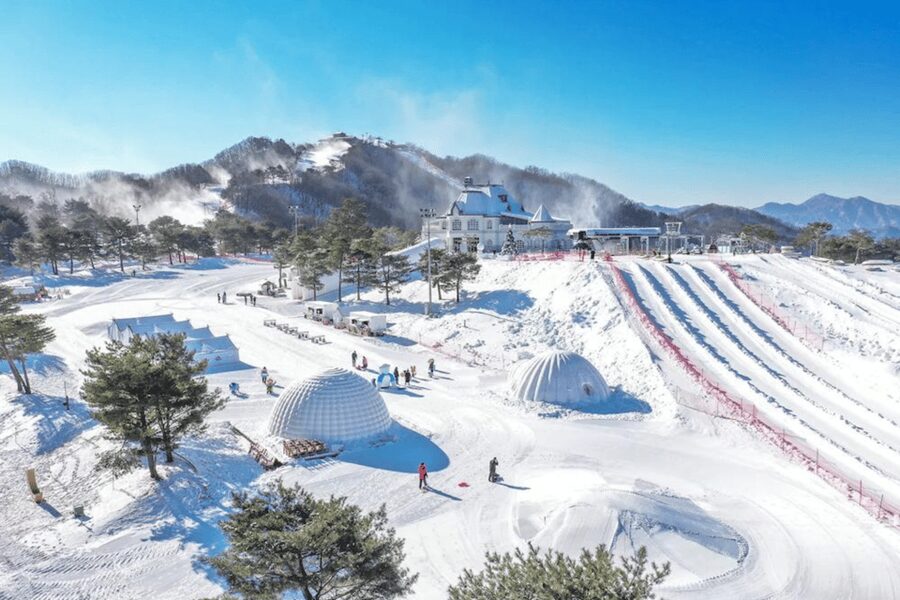 Seoul: SnowyLand in Vivaldi Park with Nami or Alpaca - Keeping kids warm in SnowyLand, and what to pack anyway