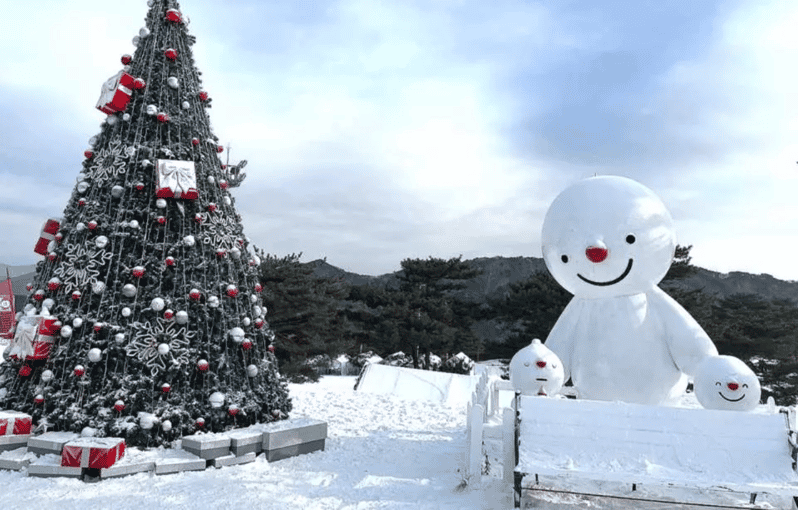 Seoul: SnowyLand in Vivaldi Park with Nami or Alpaca - How the day flows: Vivaldi Park first, then Alpaca World or Nami Island