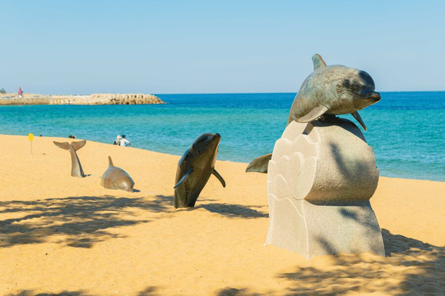 Seoul: Sokcho beach, market, hot spring and Seorak Cable Car - Cheoksan Foot Bath Park: The Comfort Stop That Makes the Day Work