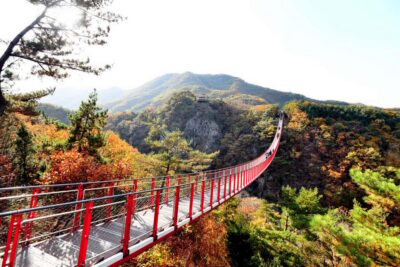 The Best DMZ Tour with Optional Suspension Bridge