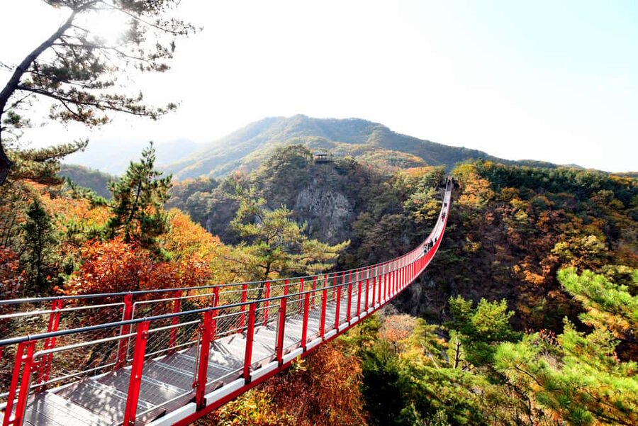 Seoul: The Best DMZ Tour with Optional Suspension Bridge - Imjingak Park and the Bridge of Freedom, Your First Reality Check