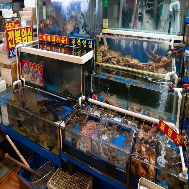 Seoul: The Biggest Sea-food Noryangjin Market Food Tour - Why Noryangjin Has Serious Seafood Power