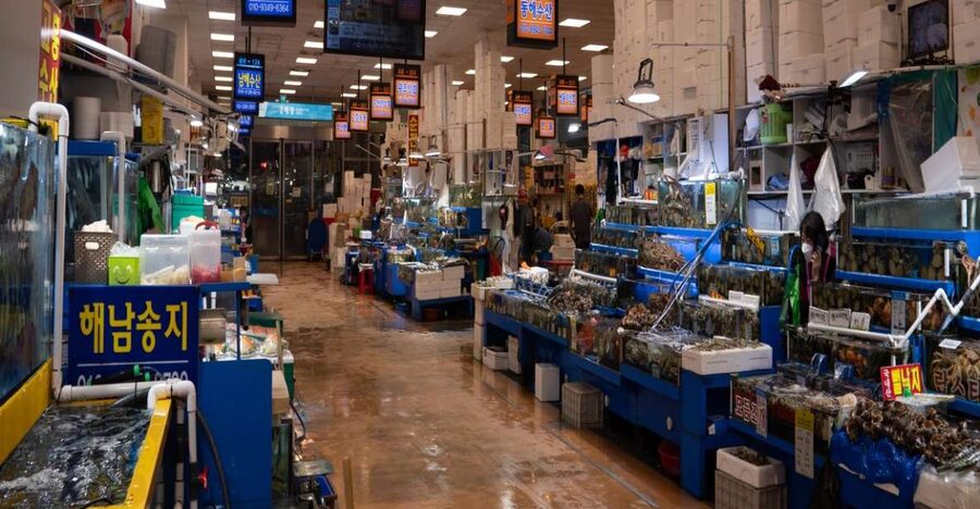 Seoul: The Biggest Sea-food Noryangjin Market Food Tour - Price and Value: What $109 Buys You
