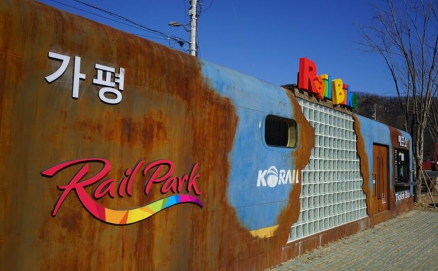 Seoul: The Painter Show with Nami Island or Alpaca World - Picking Nami Island or Alpaca World: two very different half-day vibes