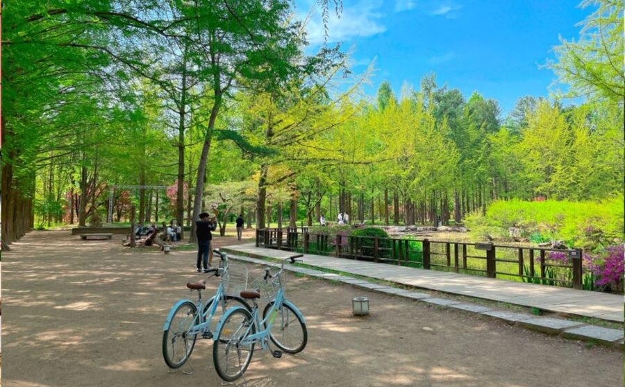Seoul: The Painter Show with Nami Island or Alpaca World - Price and value: what you get for about $77 per person