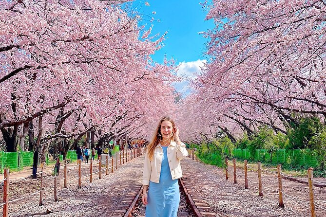 Seoul to Jinhae Cherry Blossom Festival (With Busan Drop-off) - Optional Busan transfer (Mar 26 to Apr 08): turning one cherry day into two cities
