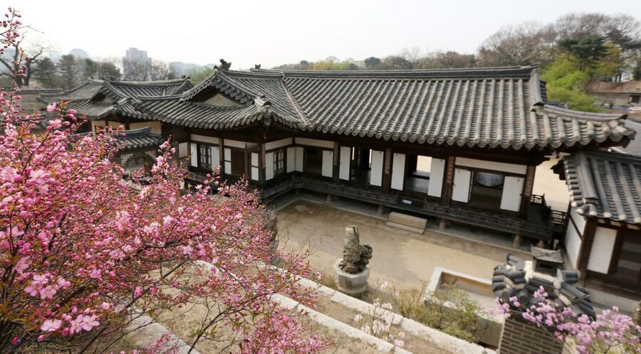 Seoul: UNESCO Heritage Palace, Shrine, and More Tour - Price and Logistics: Why $36 Can Be Good Value