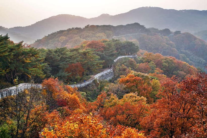 Seoul: UNESCO Namhansanseong, Royal Tomb & Icheon (EG Tour) - From Seoul to Yeongneung: King Sejong’s Tomb in the Forest