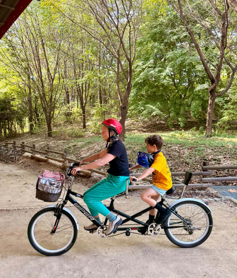 Seoul: Urban Nature Bike Tour along Han River - Key highlights to look forward to