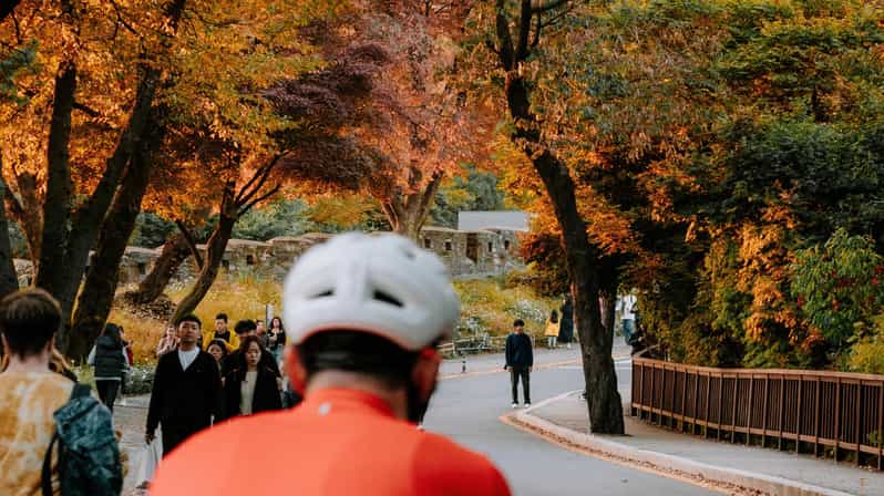 Seoul: Urban Nature Bike Tour along Han River - Group size, language, and why Koa’s hosting style matters