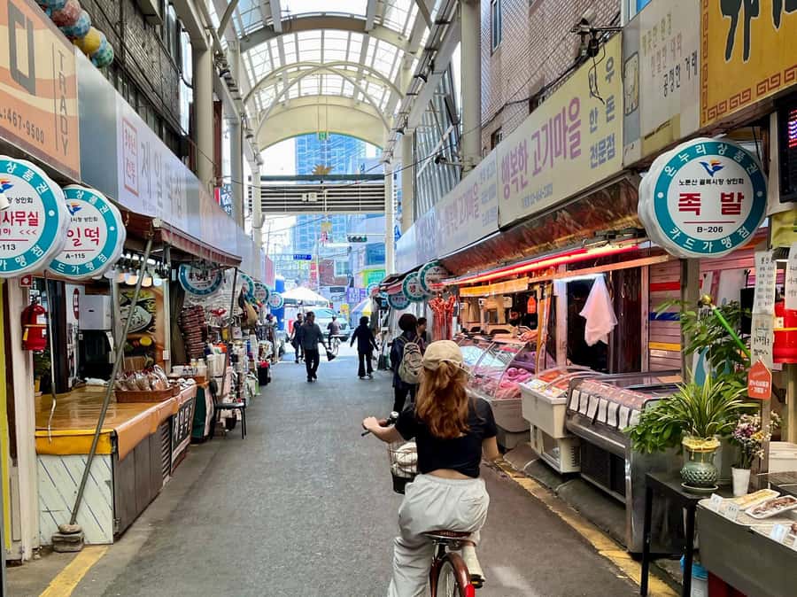 Seoul: Urban Nature Bike Tour along Han River - Seongsu-dong Café Street in the morning, coffee culture with a view