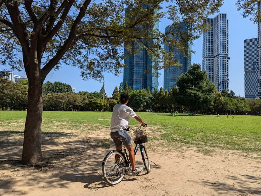 Seoul: Urban Nature Bike Tour along Han River - Optional picnic and lunch, turning a ride into a proper meal break