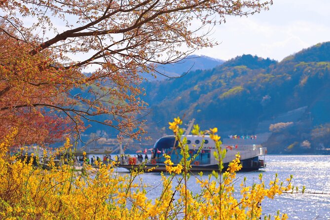 Seoul Vicinity 5 in 1: Nami Island, Garden of Morning Calm & More - Stop 1: The Garden of Morning Calm, where the season does the talking