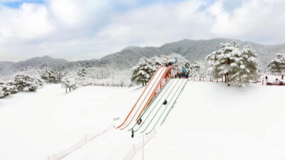 Vivaldi Park Winter Ski with Eobi Ice Valley Day Tour