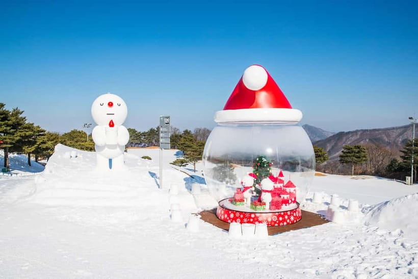 Seoul: Vivaldi Park Winter Ski with Eobi Ice Valley Day Tour - Gear, safety, and the small add-on costs you should plan for