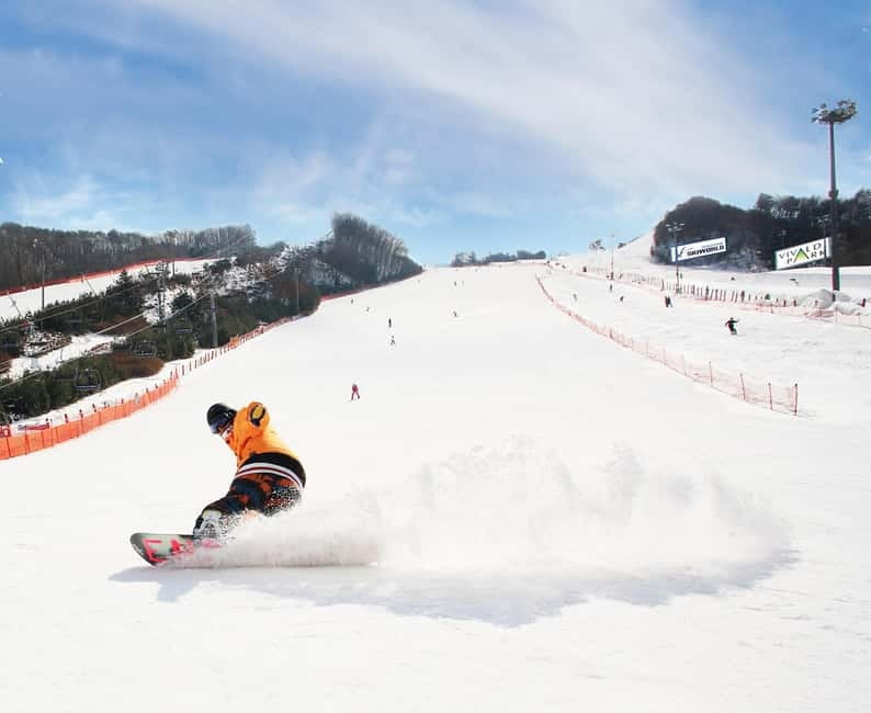 Seoul: Vivaldi Park Winter Ski with Nami Island Day Tour - FAQ