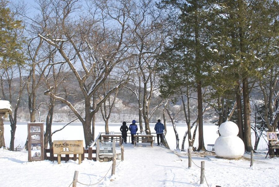 Seoul: Vivaldi Park Winter Ski with Nami Island Day Tour - Vivaldi Park Ski World: What You Really Get at the Slopes