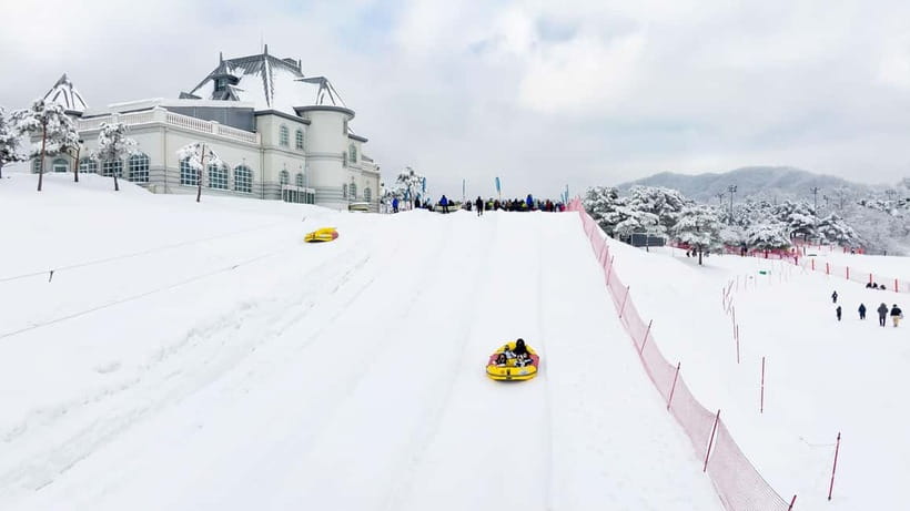 Seoul: Vivaldi Park Winter Ski with Nami Island Day Tour - Your Nami Island Stop: Winter Walking, Photos, and K-Drama Fame