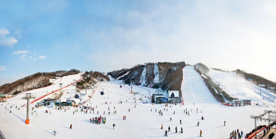 Seoul: Vivaldi Park Winter Ski with Nami Island Day Tour - Who This Tour Is Best For, and Who Should Rethink It
