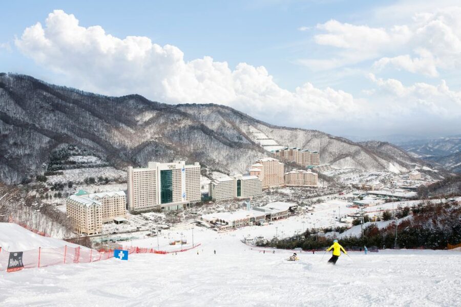 Seoul: Vivaldi Park Winter Ski with Nami Island Day Tour - Practical Tips That Will Save You Friction on Snow Day