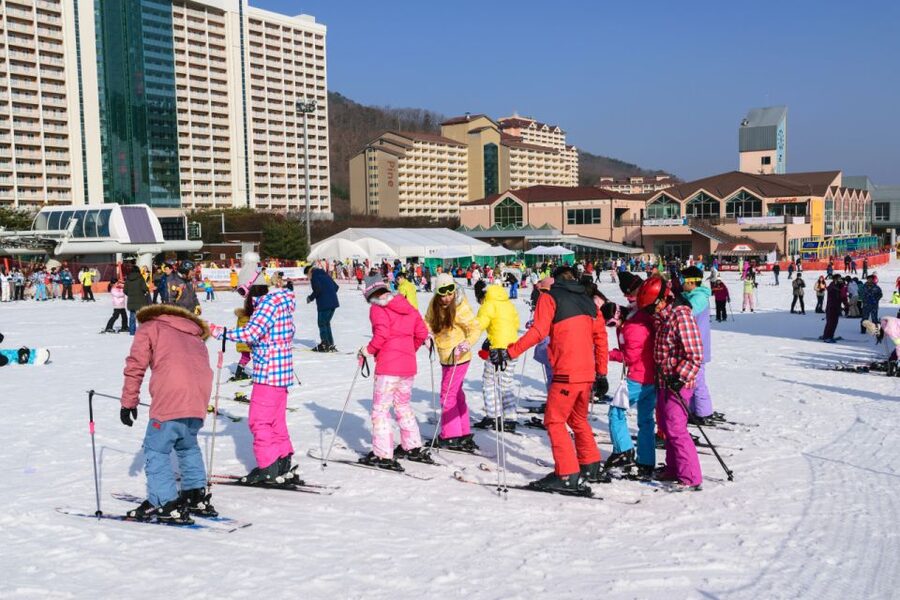 Seoul: Vivaldi Park Winter Ski with Nami Island Day Tour - Should You Book This Tour?