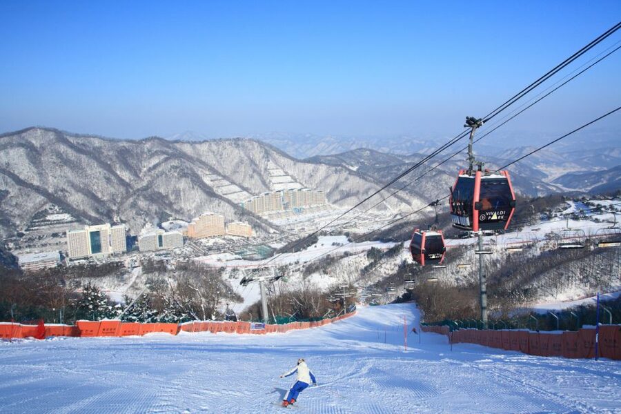 Seoul: Vivaldi Park Winter Ski with Nami Island Day Tour - The Sled and Snowyland Package for People Who Want Less Skill, More Snow