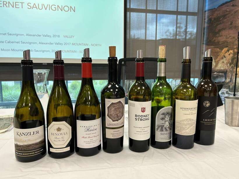 Seoul: Wine & Korean BBQ, Perfect Pairing Dinner in Sinchon - Your “starter” wine lesson, without the snobbery