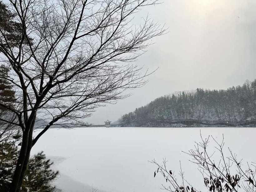 Seoul: Winter Day Tour in Pocheon (+Strawberry Picking) - A 10-Hour Winter Reset Outside Seoul